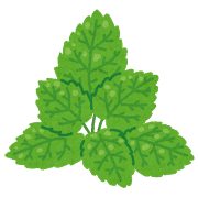 leaf_mint